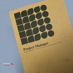 تصویر  پلنر مدل Project Manager